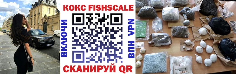 Купить где Завитинск КОКАИН FishScale